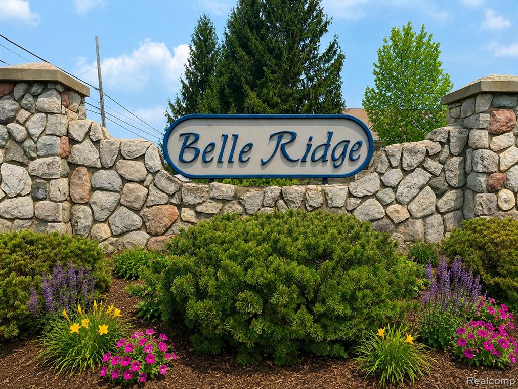 4171 Belle Ridge Drive Property Photo 2