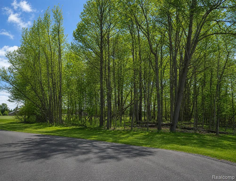 4171 Belle Ridge Drive Property Photo 3