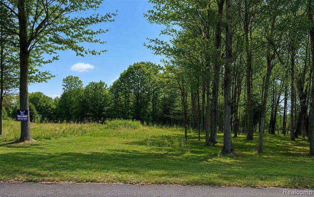 4171 Belle Ridge Drive Property Photo 5
