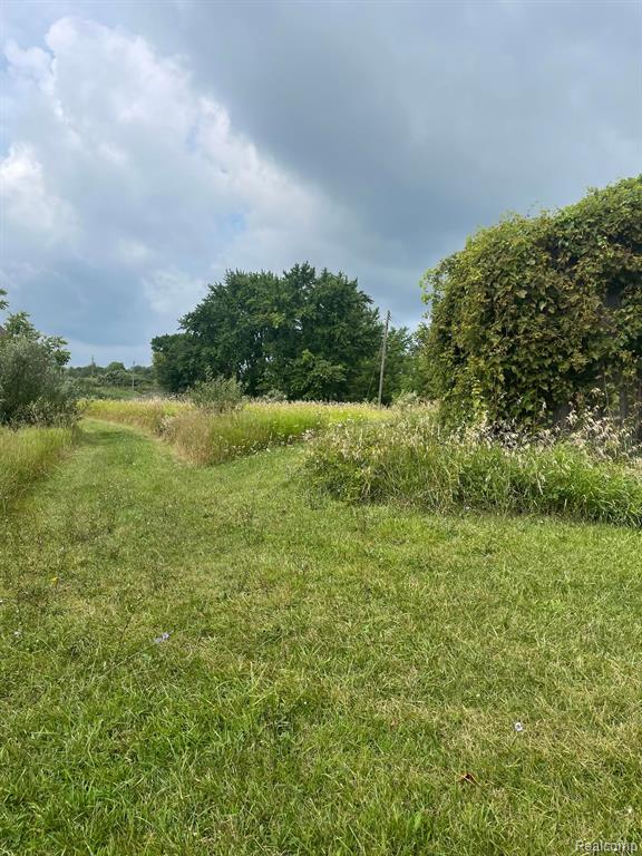971 Brauer Road Property Photo 2