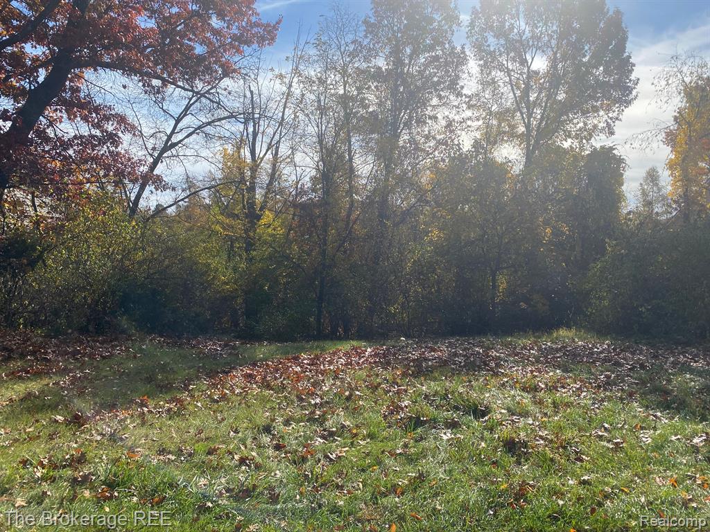 9035 Huron Bluffs Drive Property Photo 2
