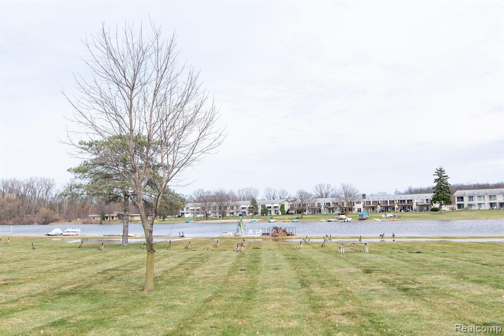 26902 Sandy Hill Property Photo 3