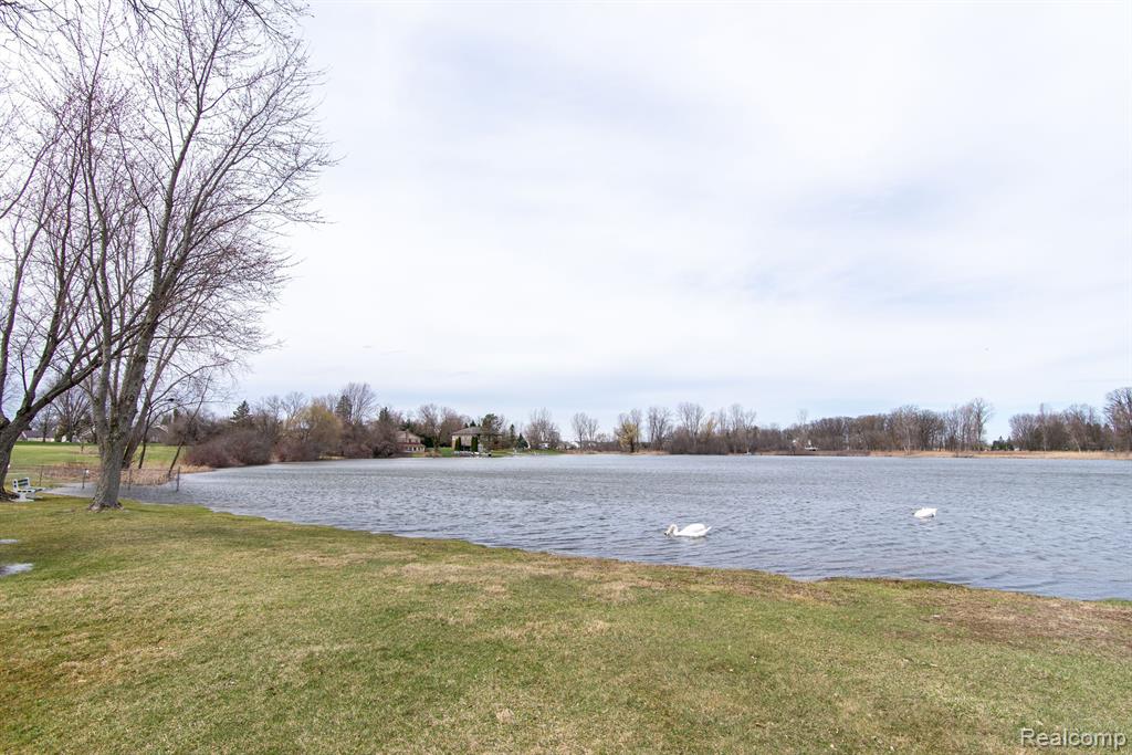 26902 Sandy Hill Property Photo 4