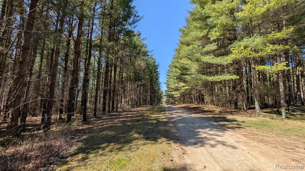 3665 Arivaca Drive Property Photo 1