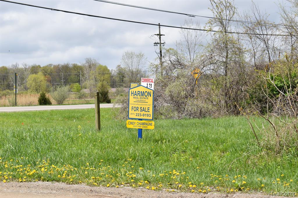 Vl Grand River Avenue Property Photo 1