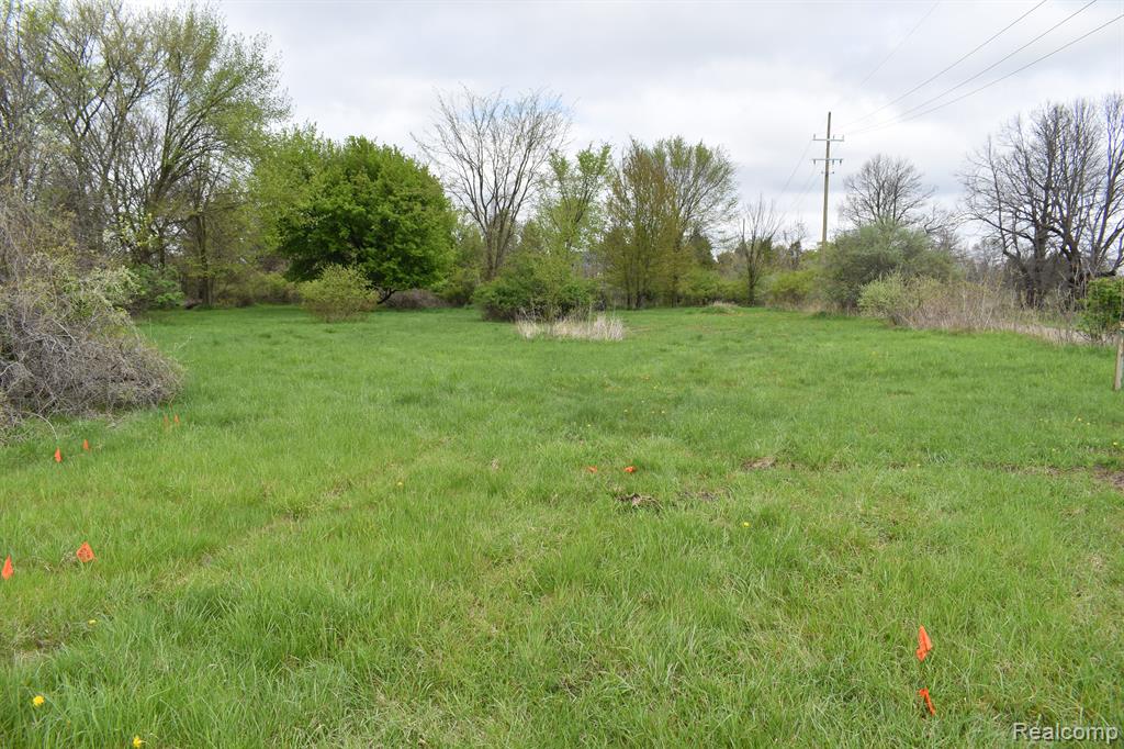 Vl Grand River Avenue Property Photo 2