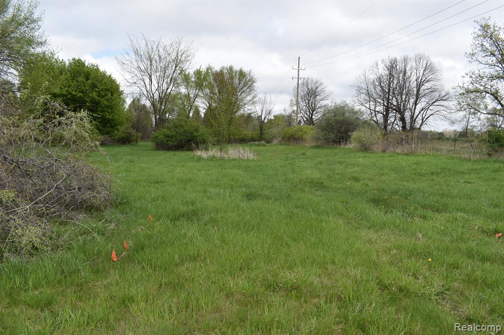 Vl Grand River Avenue Property Photo 3