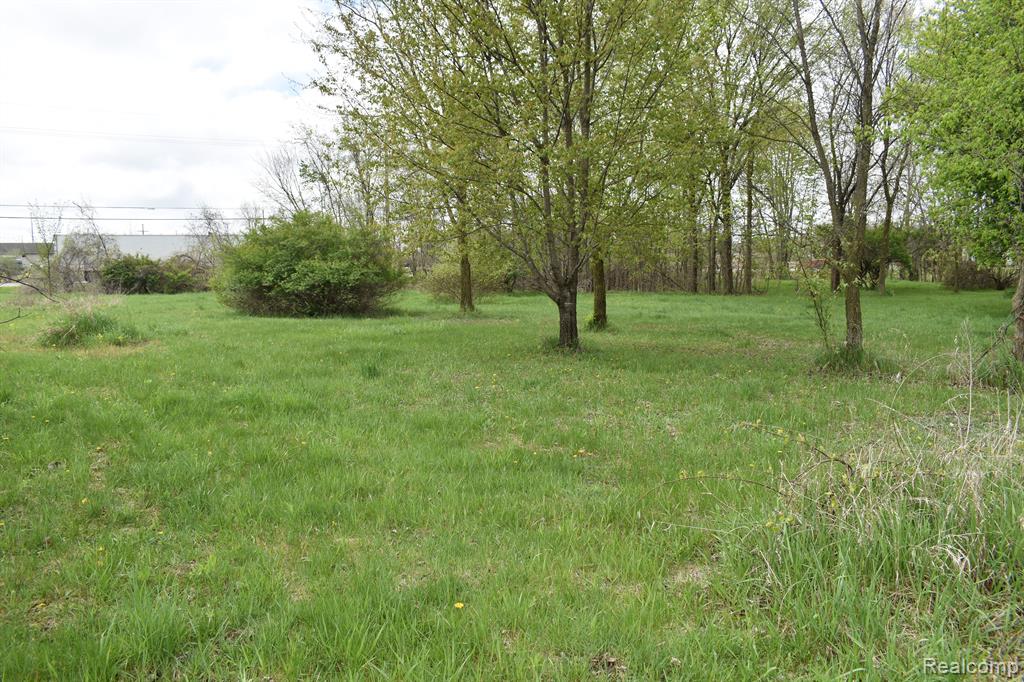 Vl Grand River Avenue Property Photo 6