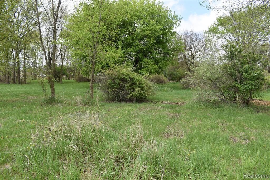 Vl Grand River Avenue Property Photo 7