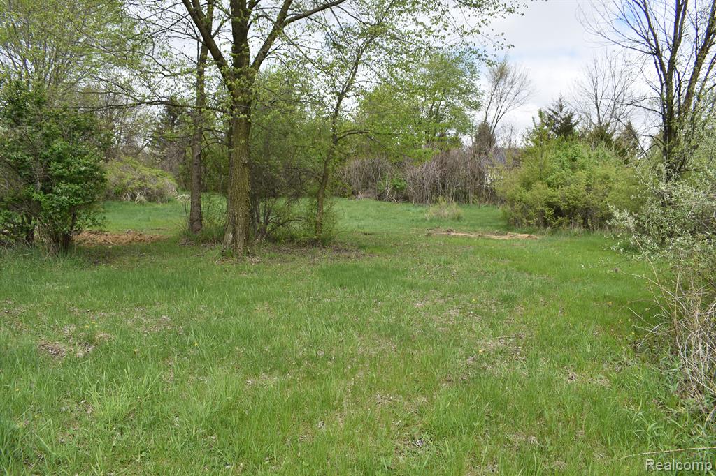 Vl Grand River Avenue Property Photo 8
