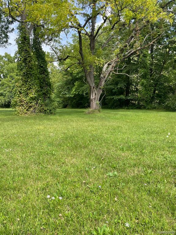00000 Savage Road Property Photo 3