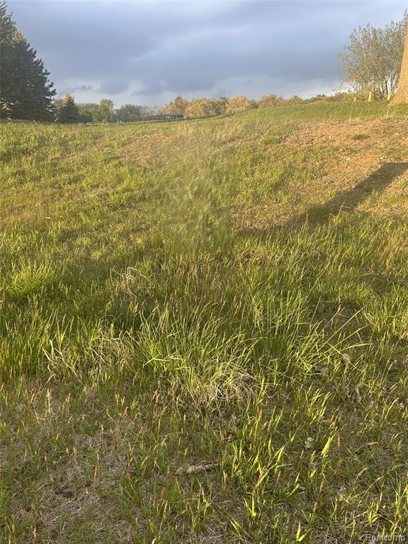 9899 Sunset Boulevard Property Photo 5