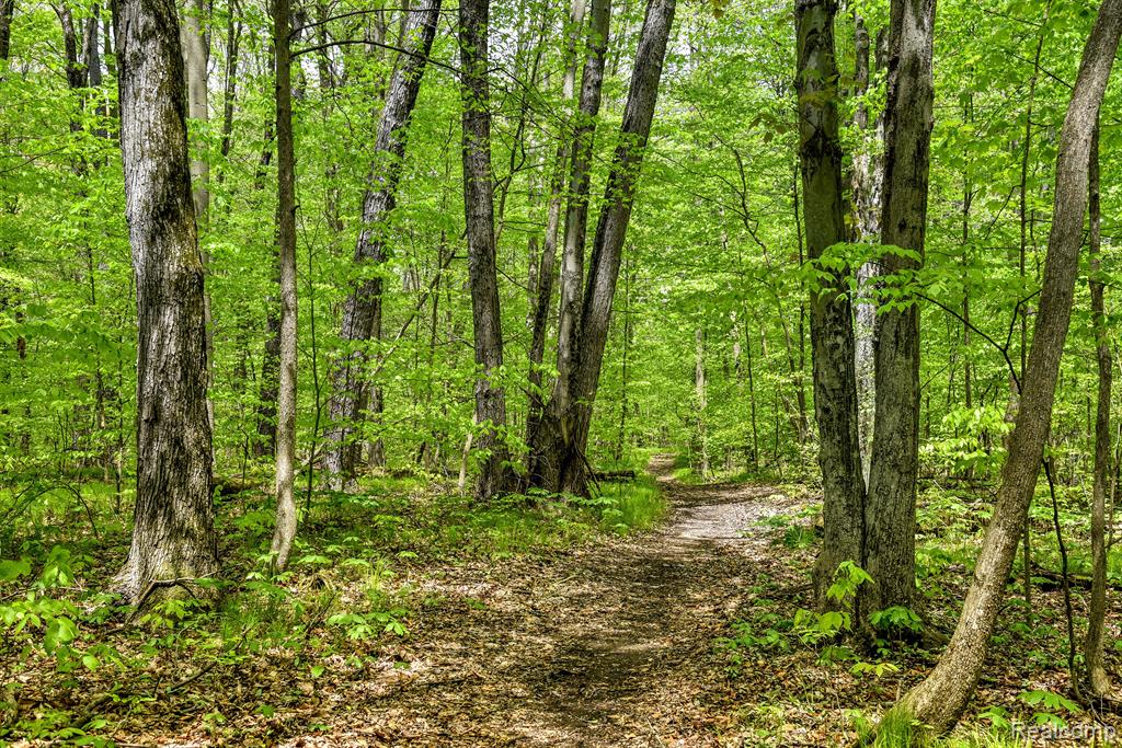 0 Michael Street Property Photo 27