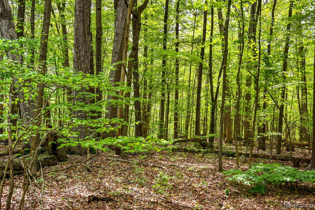 0 Michael Street Property Photo 37