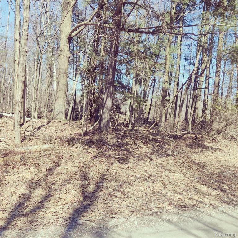 0 Schott Road Property Photo 1