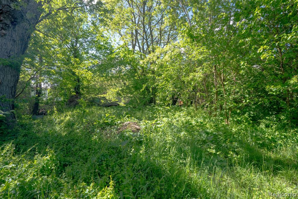 1038 Marston Street Property Photo 28