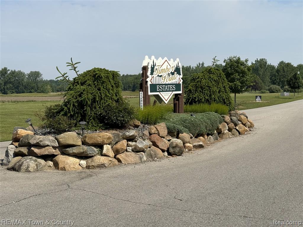 0 Evergreen Trail Property Photo 3