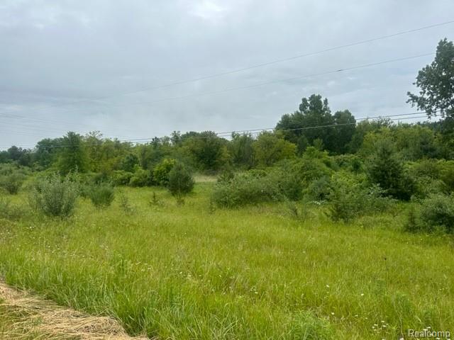 10.63(+/-) Acre Lapeer Road Property Photo 1