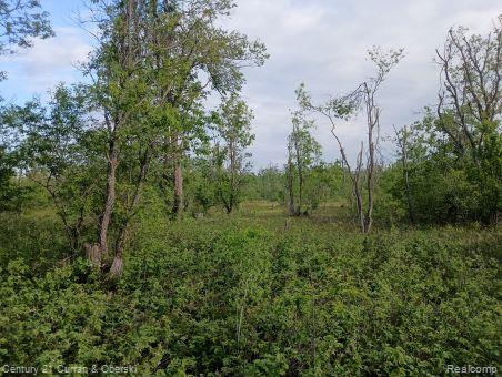0000 Finnegan Rd, Property Photo 1