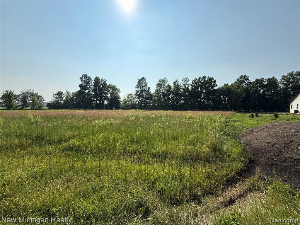9807 Oak Ridge Road Property Photo 1