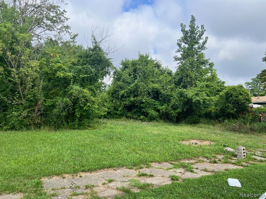 9149 Delmar Street Property Photo 7