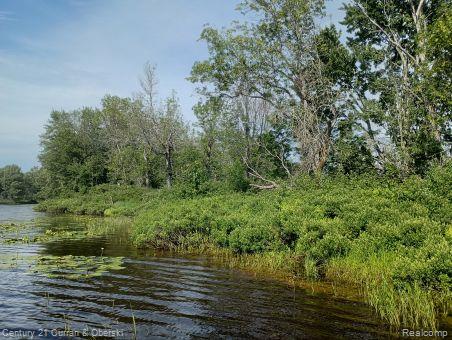 0000 Tahquamenon River (shore) Property Photo 1
