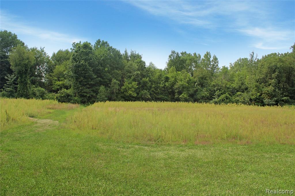 35344 Ecorse Road Property Photo 2