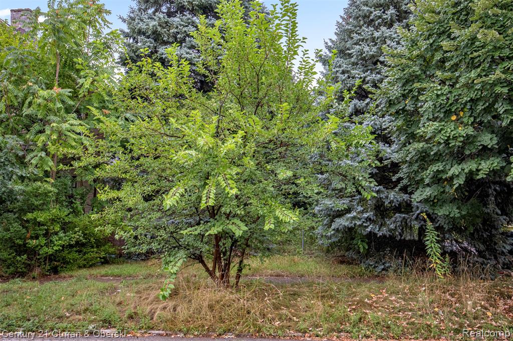 411 King Street Property Photo 1
