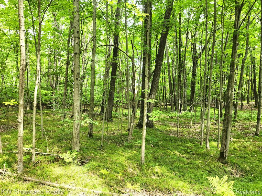 000 Red Fox Run Property Photo 1
