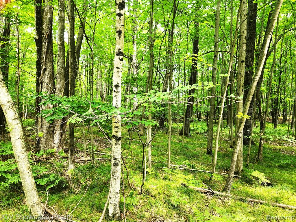 000 Red Fox Run Property Photo 1