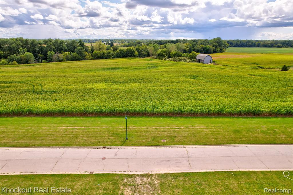 Parcel E W Rolling Hills Drive Property Photo 7