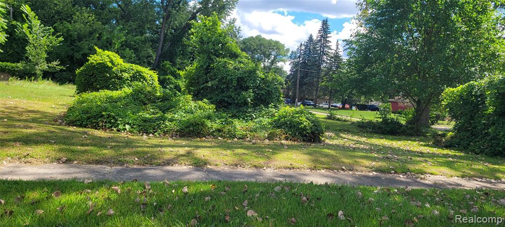 Lot 227, Dexter Street Property Photo 1