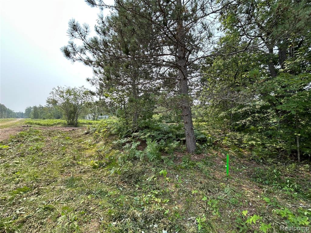 6658 Brookfield Court Property Photo 2