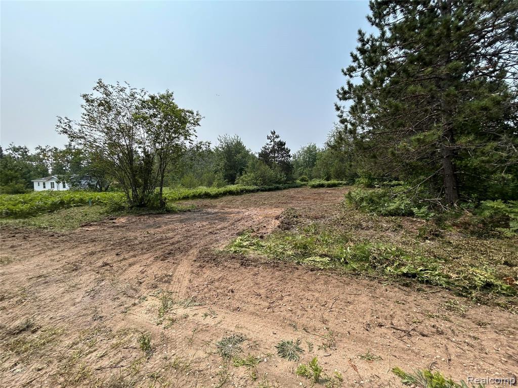 6658 Brookfield Court Property Photo 7