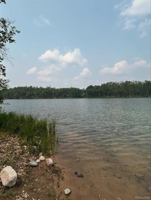 6658 Brookfield Court Property Photo 10