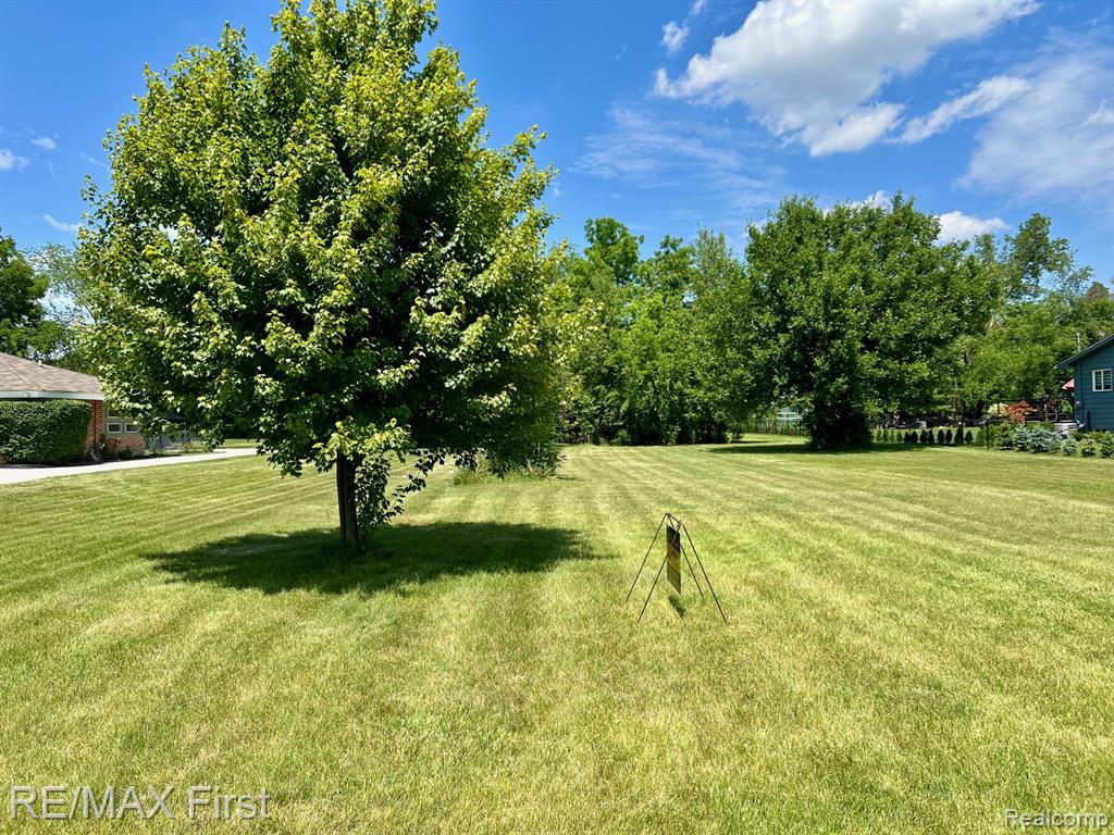 Vacant Willowood