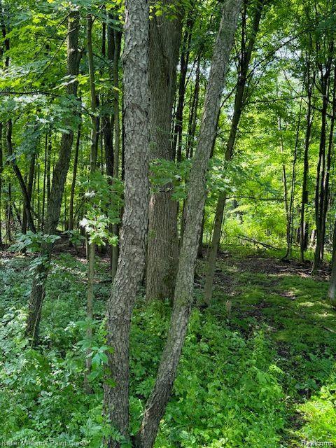 0000 Vik-mar Lane Property Photo 6
