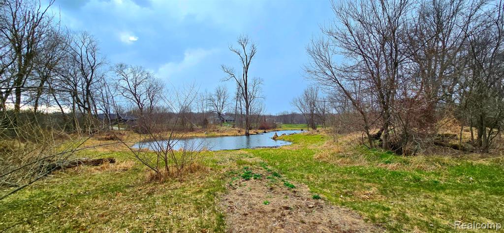 9860 Iosco Ridge Drive Property Photo 4