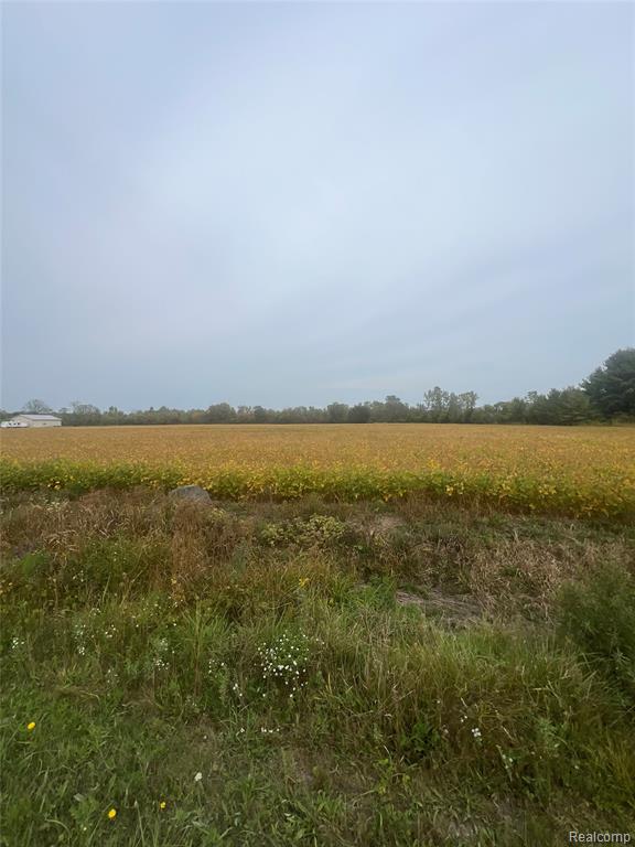 00 Meskill Road Property Photo 13