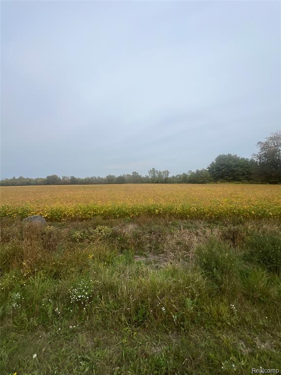00 Meskill Road Property Photo 14