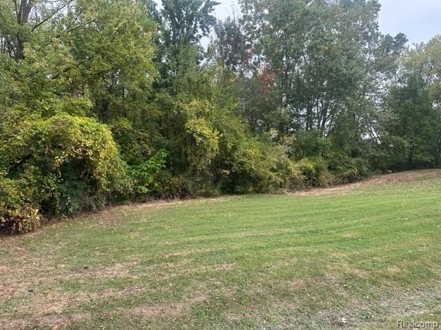 Lot A Chapin Street Property Photo 4