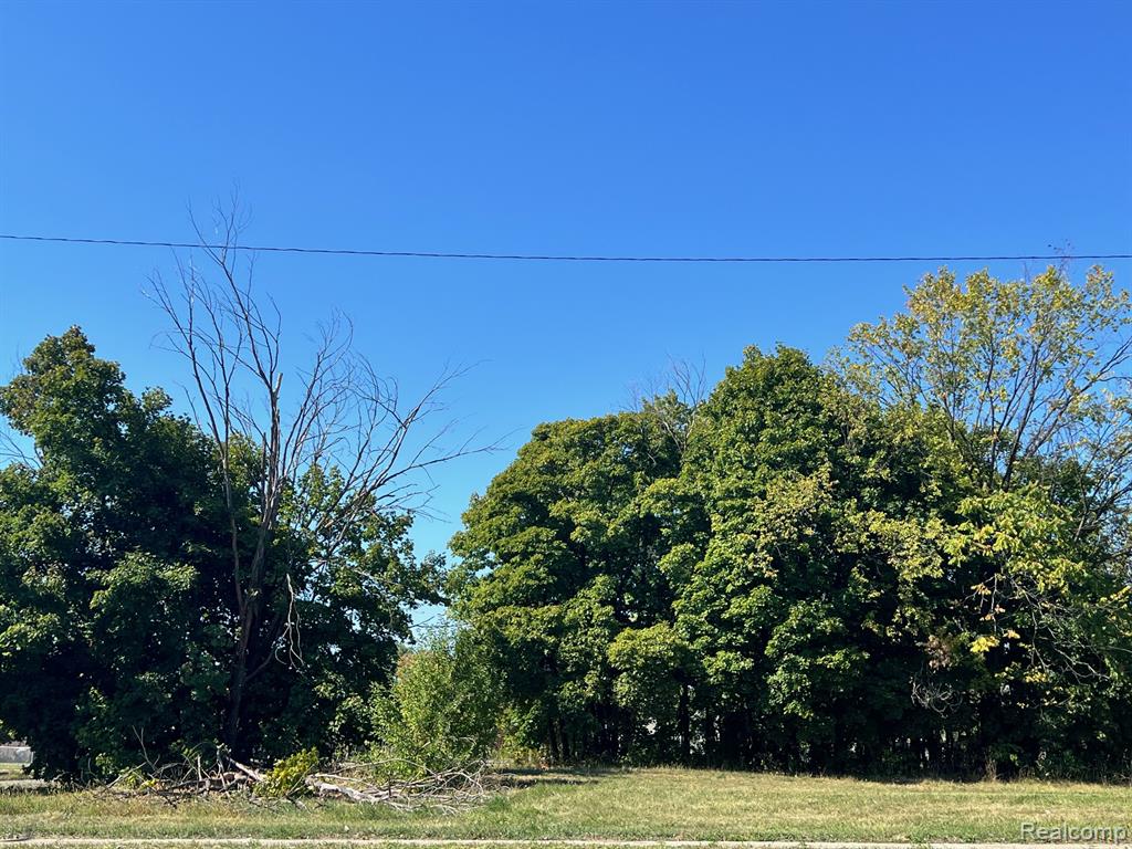 2929 E Vernor Highway Property Photo 12