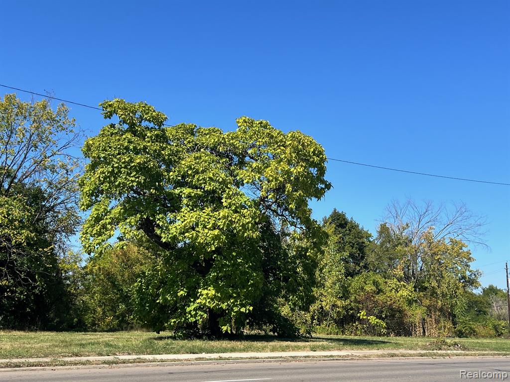 2929 E Vernor Highway Property Photo 13