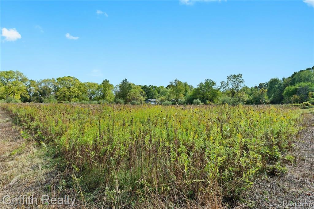 9800 Beeman Road Property Photo 4