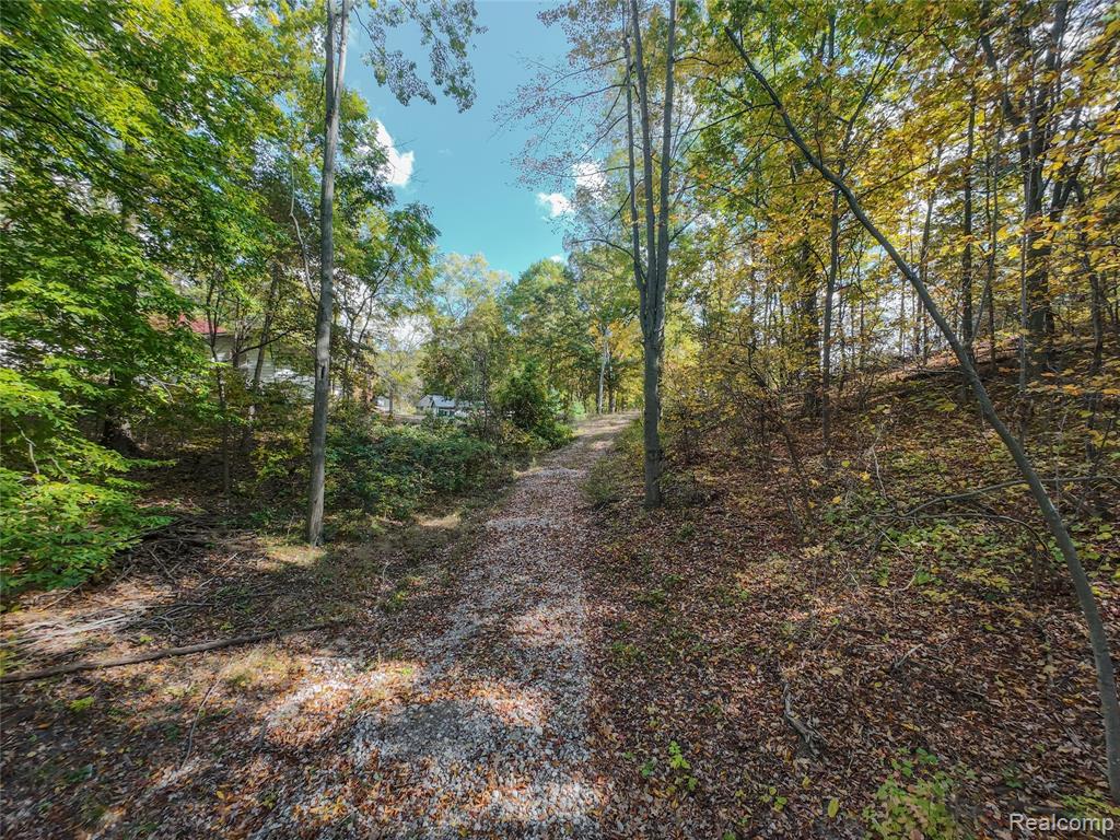 4720 Brunk Drive Property Photo 8