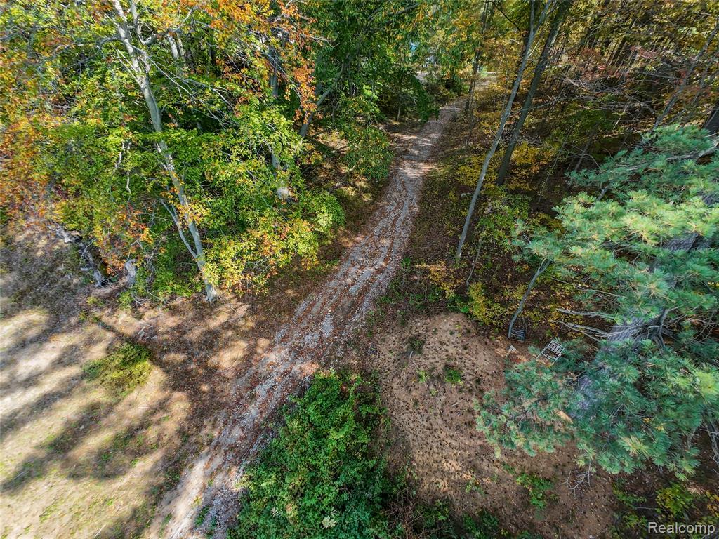 4720 Brunk Drive Property Photo 9