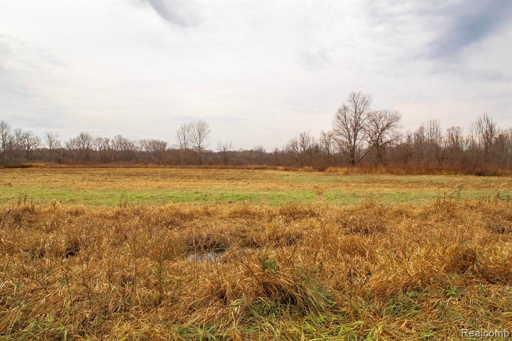 Vl Roods Lake Road Property Photo 2