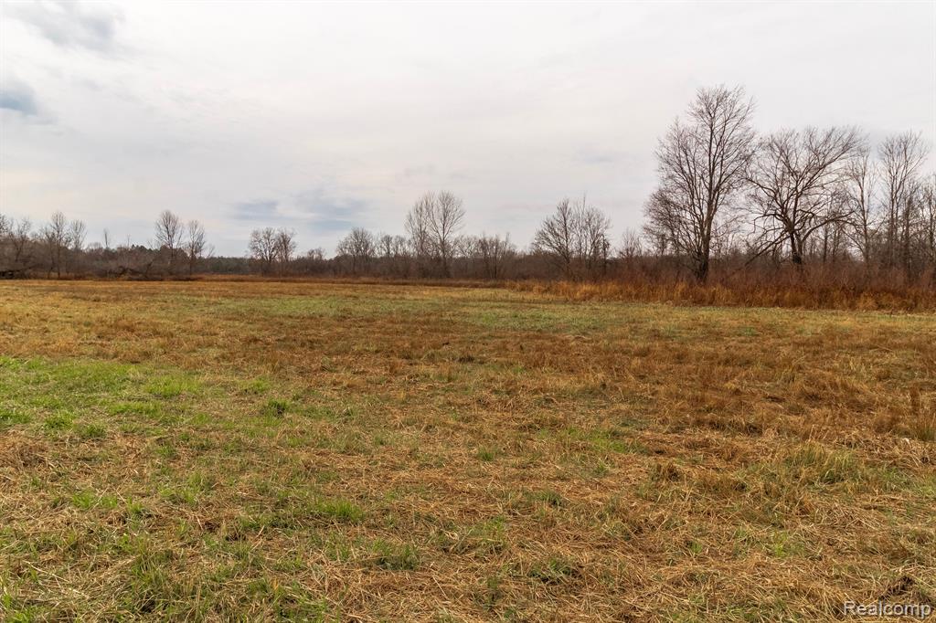 Vl Roods Lake Road Property Photo 3