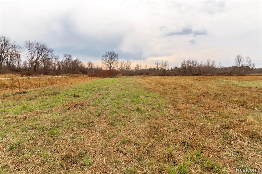 Vl Roods Lake Road Property Photo 4