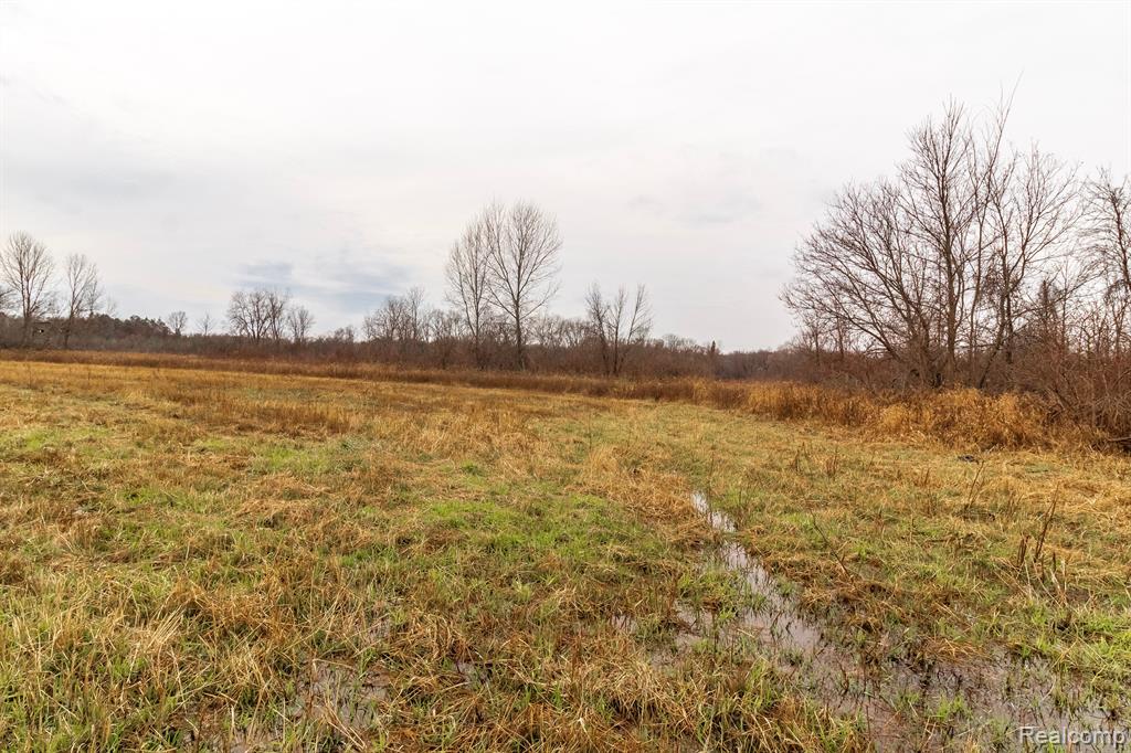 Vl Roods Lake Road Property Photo 5